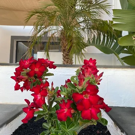 Casa Delfin 2 Y Piscina ヴィラ
